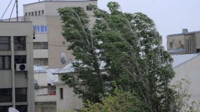 Cod galben de intensificări ale vântului în judeţe din Moldova, Oltenia şi Transilvania, până la ora 19,00