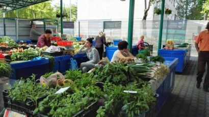 Micii producători agricoli sunt scutiți de eliberarea de bonuri în piețe