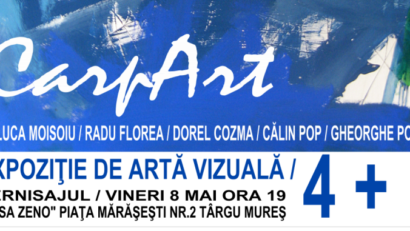 CarpArt- metamorfoza Atelier 4Team
