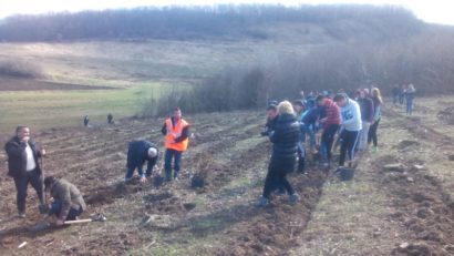 70 de premii pentru implicarea în salvarea mediului înconjurător