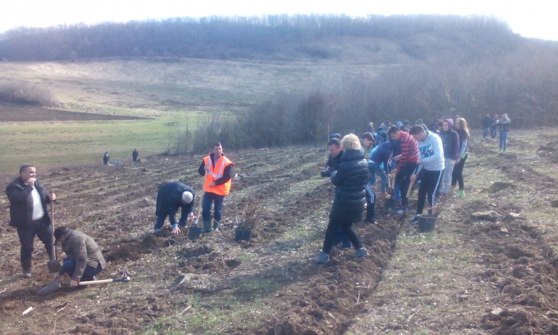 70 de premii pentru implicarea în salvarea mediului înconjurător