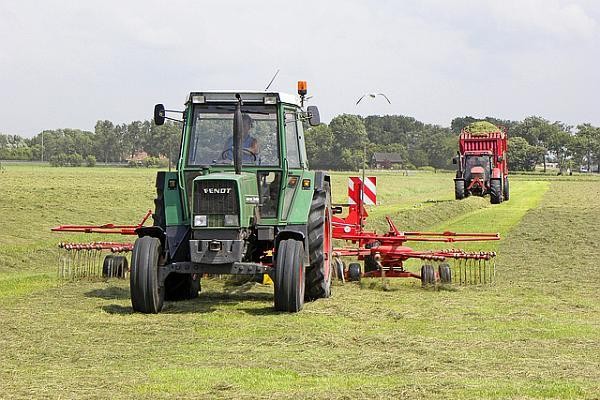 Peste 8.500 de cereri pentru subvenţii depuse de agricultorii mureșeni Peste 8.500 de cereri pentru subvenţii depuse de agricultorii mureșeni