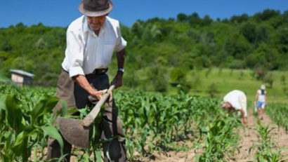 De astăzi, producătorii agricoli care vor să vândă în pieţe au nevoie de un atestat de producător care va fi eliberat de primării