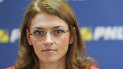 PNL a depus o moţiune simplă la Senat pe tema alocaţiilor pentru copii