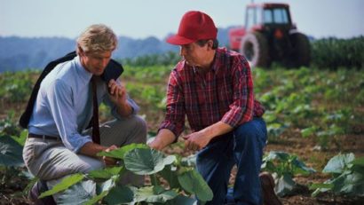 Agricultorii brașoveni nu se grăbesc să-și schimbe certificatele de producător
