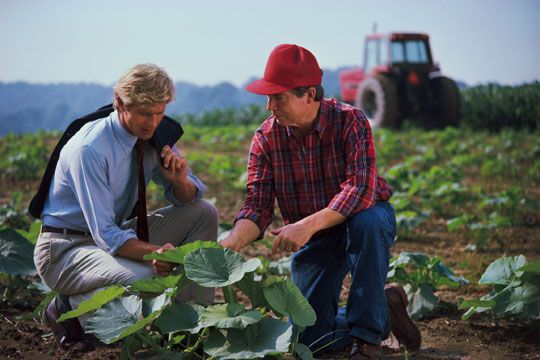 Agricultorii brașoveni nu se grăbesc să-și schimbe certificatele de producător Agricultorii brașoveni nu se grăbesc să-și schimbe certificatele de producător
