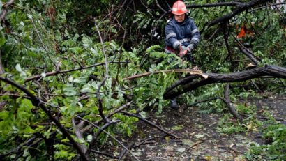 Un muncitor forestier a murit după ce o parte a arborelui pe care l-a tăiat i-a căzut în cap