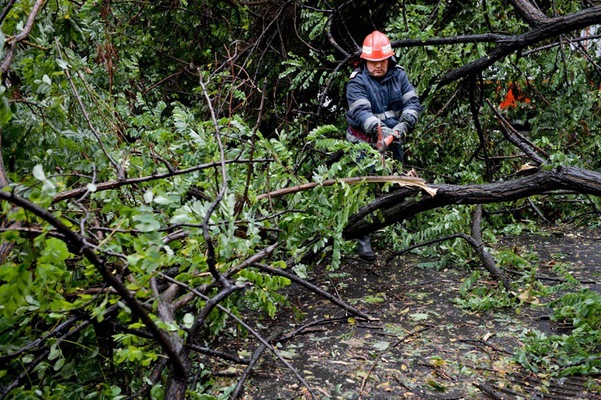 Un muncitor forestier a murit după ce o parte a arborelui pe care l-a tăiat i-a căzut în cap Un muncitor forestier a murit după ce o parte a arborelui pe care l-a tăiat i-a căzut în cap