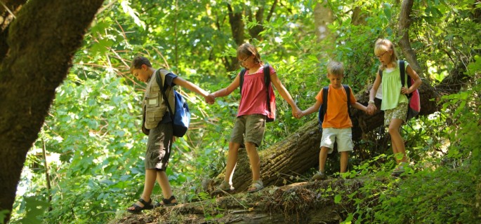 Proiect de educație ecologică în Covasna Proiect de educație ecologică în Covasna
