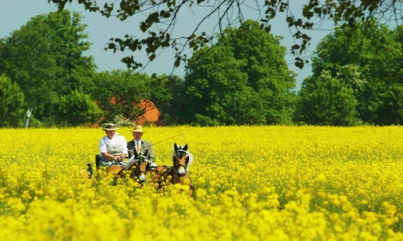 „Pe cărarea dorului” cu Andrei Romanică „Pe cărarea dorului” cu Andrei Romanică