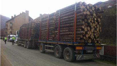 Exporturile de buşteni sau lemn de foc vor fi suspendate până la 31 august