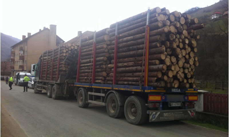 Exporturile de buşteni sau lemn de foc vor fi suspendate până la 31 august Exporturile de buşteni sau lemn de foc vor fi suspendate până la 31 august
