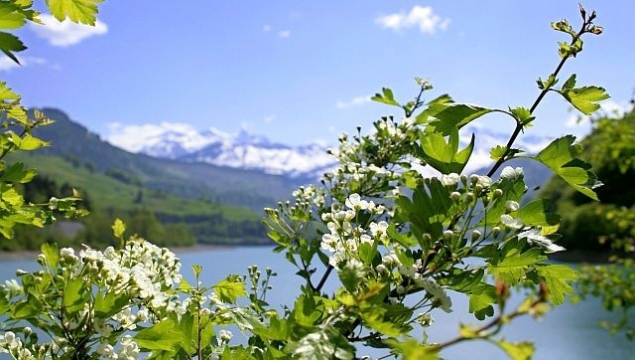 Vreme normală termic în Transilvania în următoarele două săptămâni Vreme normală termic în Transilvania în următoarele două săptămâni