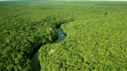 Ecuadorul a stabilit un nou record în materie de împăduriri