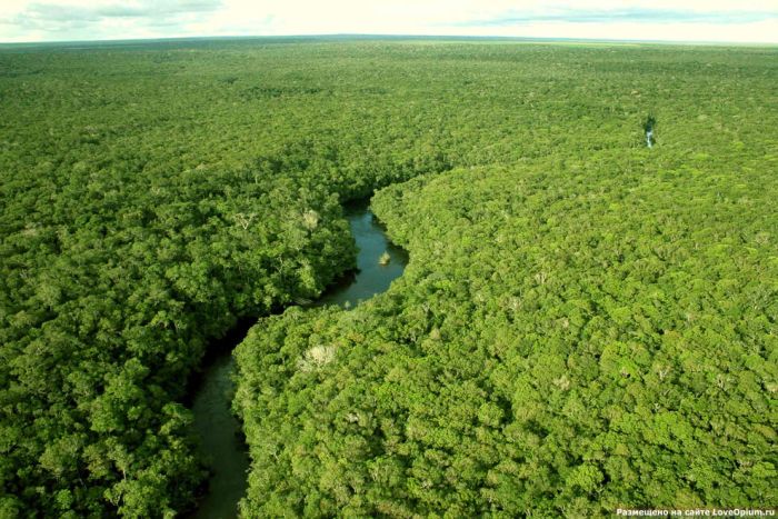 Ecuadorul a stabilit un nou record în materie de împăduriri Ecuadorul a stabilit un nou record în materie de împăduriri