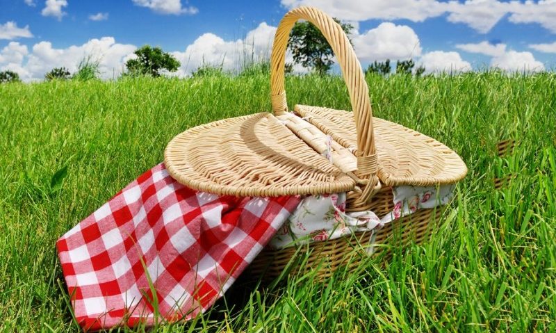 Nici o sancțiune pentru amatorii de picnic din Mureș Nici o sancțiune pentru amatorii de picnic din Mureș