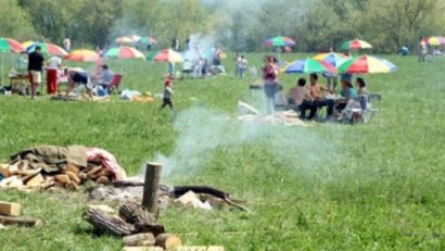Zonele de picnic neautorizate, verificate de Garda de Mediu