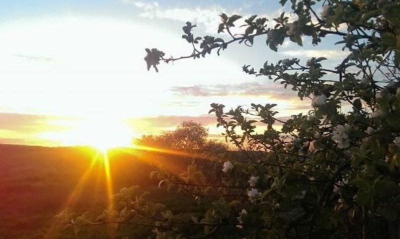 Prognoza meteo pentru următoarele trei luni Prognoza meteo pentru următoarele trei luni