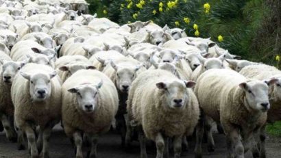 Protest inedit la Săcele