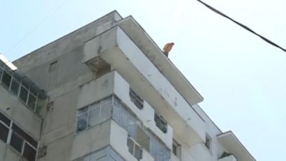 Verificări în cazul sinuciderii din capitală