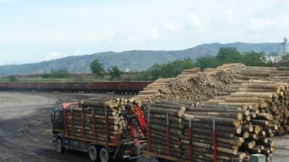Austriecii de la Holzindustrie Schweighofer intervin şi ei în scandalul Codului silvic