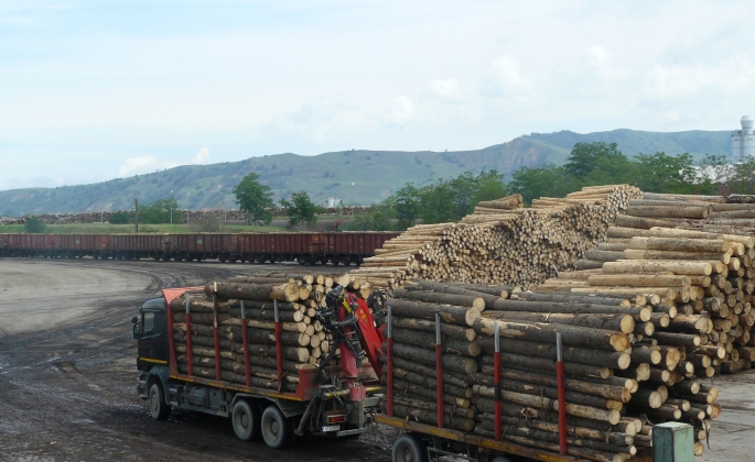 Austriecii de la Holzindustrie Schweighofer intervin şi ei în scandalul Codului silvic Austriecii de la Holzindustrie Schweighofer intervin şi ei în scandalul Codului silvic