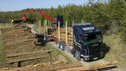 Exporturile intra-comunitare de materiale lemnoase vor trebui însoţite de o licenţă de supraveghere