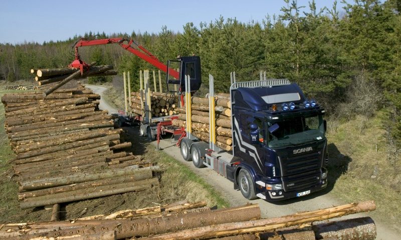 Exporturile intra-comunitare de materiale lemnoase vor trebui însoţite de o licenţă de supraveghere