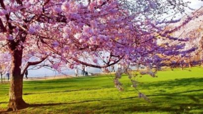 Vremea se menţine cãlduroasã mâine în Transilvania