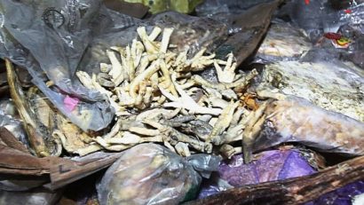 (Foto) Carne congelată de 40 de ani, descoperită în China