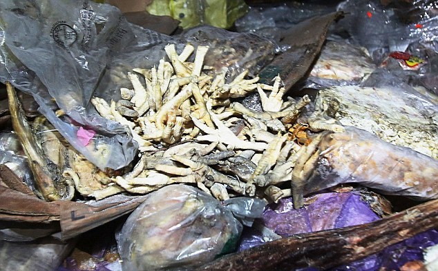 (Foto) Carne congelată de 40 de ani, descoperită în China (Foto) Carne congelată de 40 de ani, descoperită în China