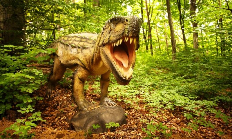 Dinozaurii pitici din Ţara Haţegului, promovaţi în cadrul Dino Parc Râşnov