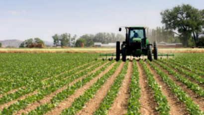 Judeţul Mureş, pe locul 9 din ţară la numărul cererilor depuse pentru subvenţii agricole