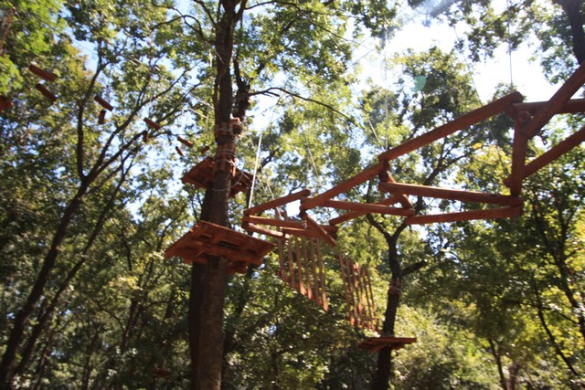 Parcul de aventură – „Paradis Land” din Neptun Parcul de aventură – „Paradis Land” din Neptun