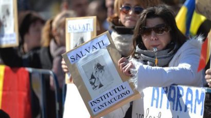 Guvernul ia măsuri pentru ştergerea datoriilor Institutului Cantacuzino