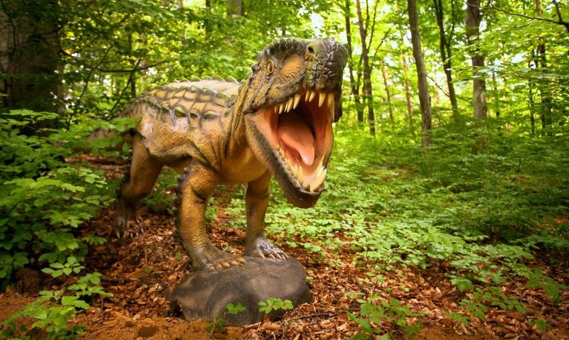 Astăzi se deschide Dino Parc Râșnov Astăzi se deschide Dino Parc Râșnov