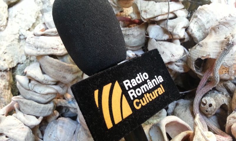 O vară spectaculoasă la Radio România Cultural O vară spectaculoasă la Radio România Cultural
