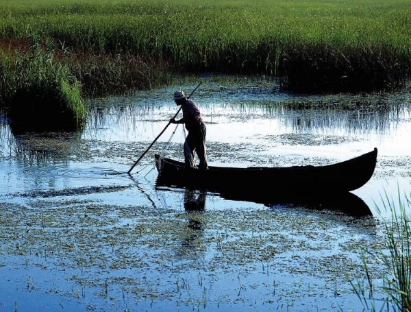 Liber la pescuit în Rezervaţia Biosferei „Delta Dunării” Liber la pescuit în Rezervaţia Biosferei „Delta Dunării”