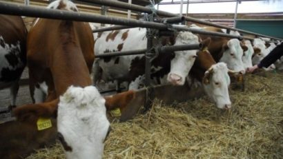 Azi s-a lansat cooperativa agricolă SicLand Natura în Covasna