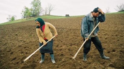 APIA Mureş mai are de recuperat aproximativ 2 milioane de euro de la agricultori