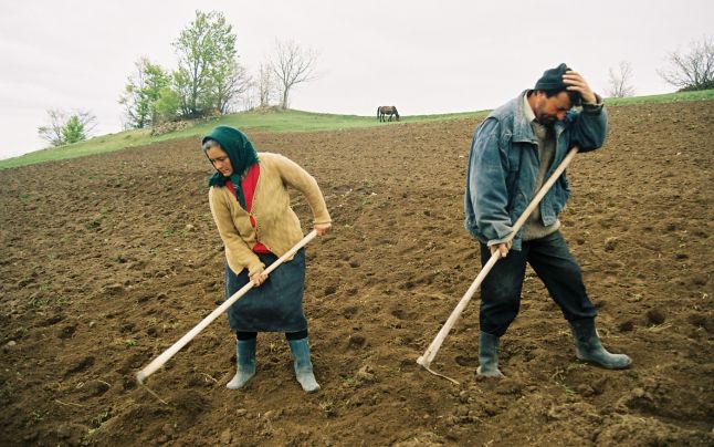 APIA Mureş mai are de recuperat aproximativ 2 milioane de euro de la agricultori
