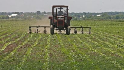 Scade suprafața necultivată din județul Mureș