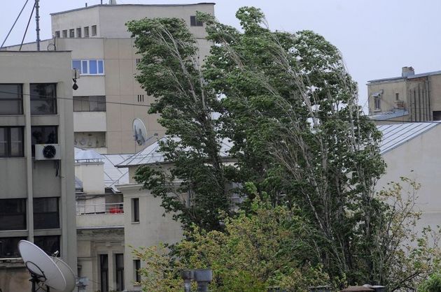 Atenţionări nowcasting cod galben de vânt puternic Atenţionări nowcasting cod galben de vânt puternic