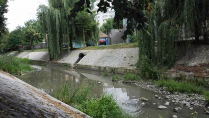 Pârâul Pocloș din Tîrgu Mureș, cu iz de mlaștină