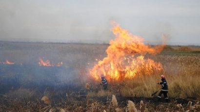 Incendii de miriște și plante furajere