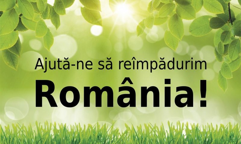 Plantăm fapte bune în România! Înscrie-te şi tu la cea mai amplă acţiune de împădurire Plantăm fapte bune în România! Înscrie-te şi tu la cea mai amplă acţiune de împădurire