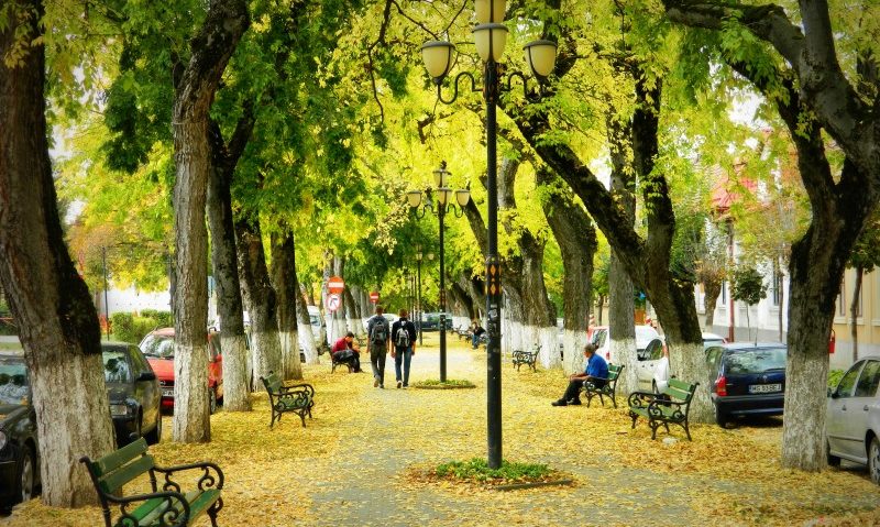 Lucrările la Bulevardul Cetății vor fi gata abia în septembrie Lucrările la Bulevardul Cetății vor fi gata abia în septembrie