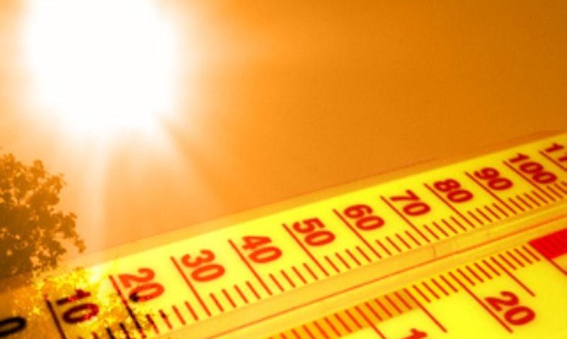 Codul galben de caniculă afectează aproape toată țara Codul galben de caniculă afectează aproape toată țara