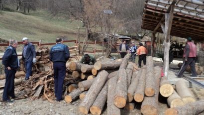 Amenzi de 15.000 de lei şi peste 20 mc de lemn, confiscaţi în judeţul Mureş