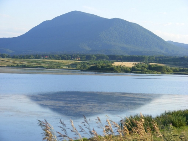 ,,Delta din Carpaţi” este în pericol ,,Delta din Carpaţi” este în pericol